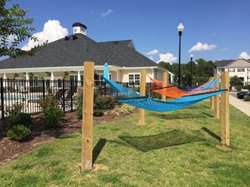 Hammock grove